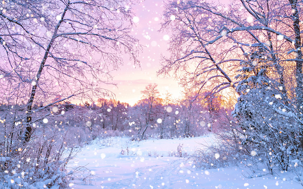 2月4日～2月10日の週間運勢占いランキング！　1位の星座は…？