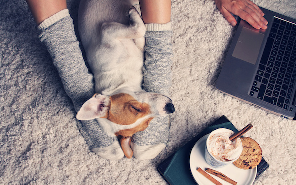 2月11日～2月17日の週間運勢占いランキング！　1位の星座は…？