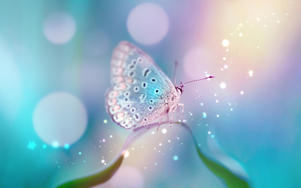 2月25日～3月3日の週間運勢占いランキング！　1位の星座は…？