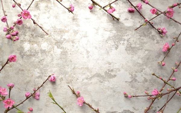 3月4日～3月10日の週間運勢占いランキング！　1位の星座は…？