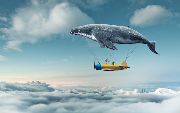 5月20日～5月26日の週間運勢占いランキング！　1位の星座は…？