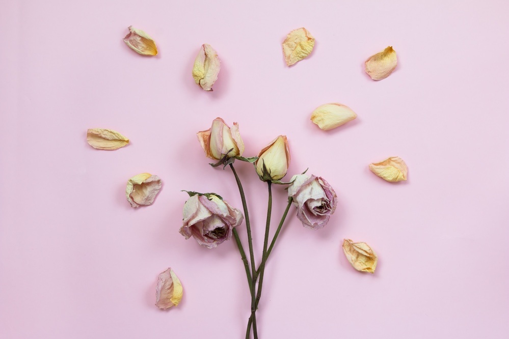 「モテない美人」な私。このまま未婚で終わってしまうの!?