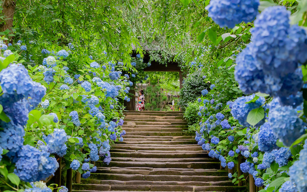 【1分で心理テスト】もしかして六月病!?　あなたの現在の「ブルー気分度」は？