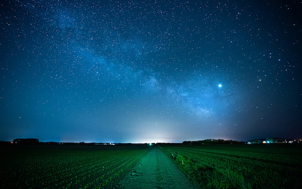 7月8日～7月14日の週間運勢占いランキング！　1位の星座は…？