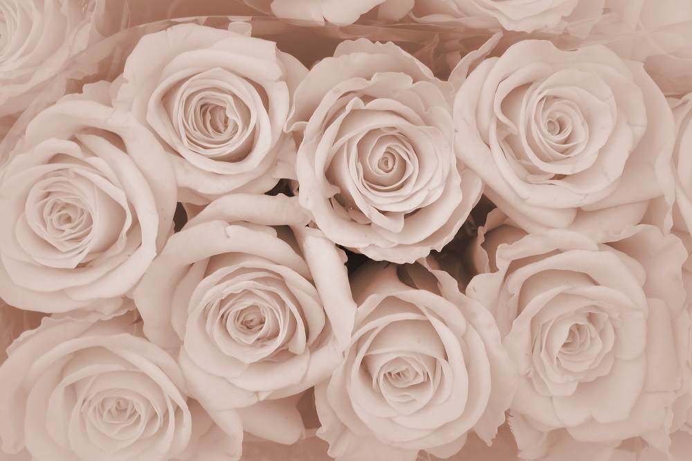 「女医だから好き」発言が引っかかる…。彼の愛を信じるべき？