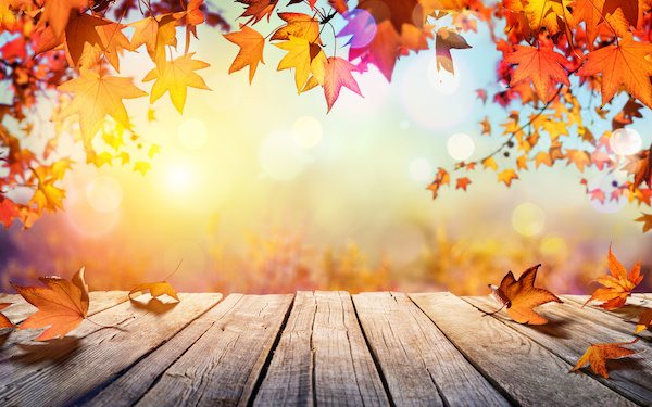 【1分で心理テスト】今年のあなたにおすすめ「〇〇の秋」とは？