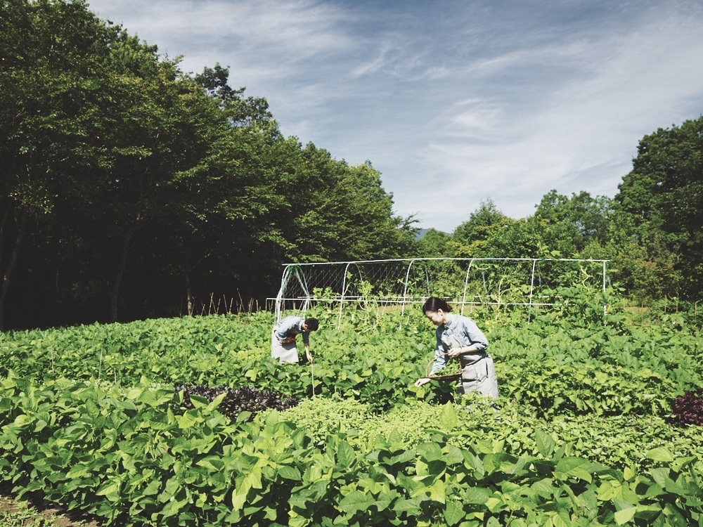 【親子旅におすすめ】農業を通して自然を体感！ 親子で行きたい新オープンのホテル＆施設