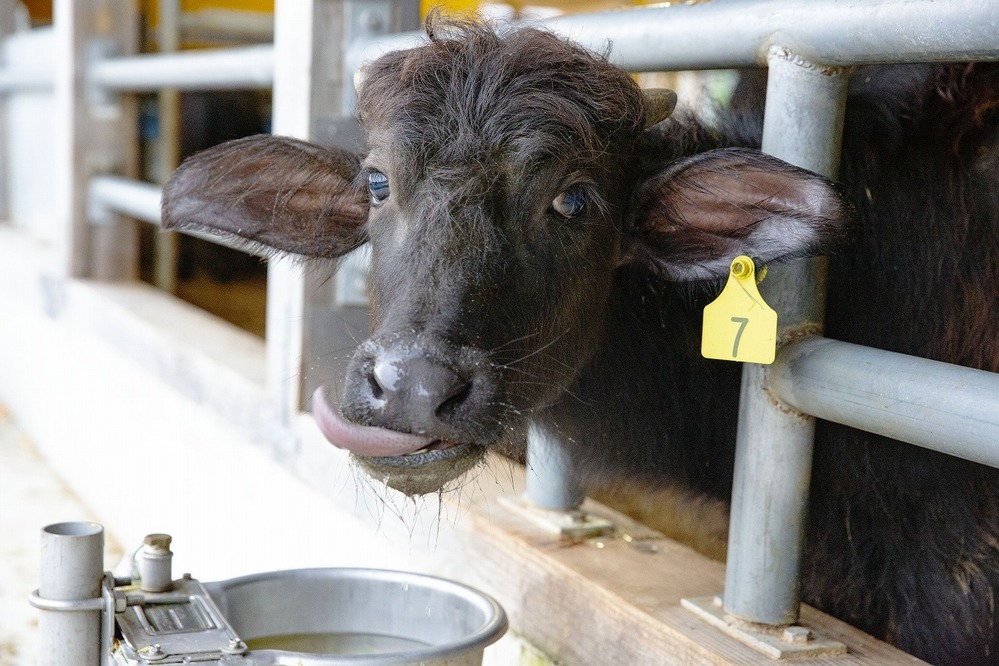 【親子旅におすすめ】農業を通して自然を体感！ 親子で行きたい新オープンのホテル＆施設