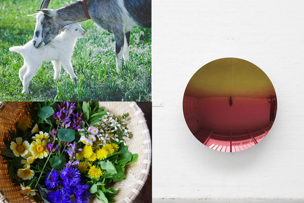 【親子旅におすすめ】農業を通して自然を体感！ 親子で行きたい新オープンのホテル＆施設