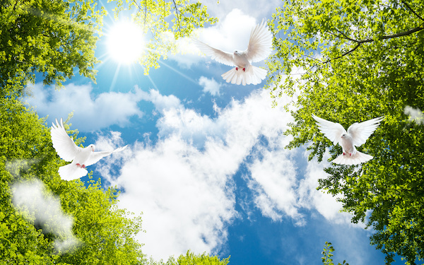 【1分で心理テスト】2019年ももうすぐ終わり！ 今年のあなたは充実感何％？