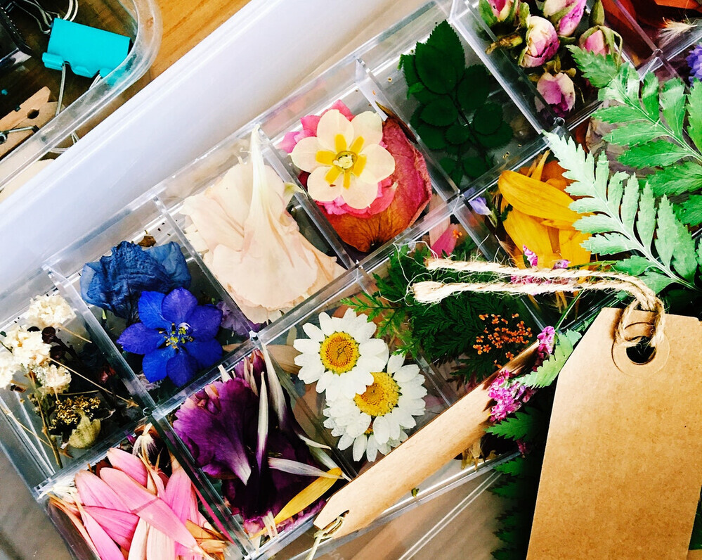 【ドライフラワーのステキな飾り方】気軽にインテリアとして楽しむコツ