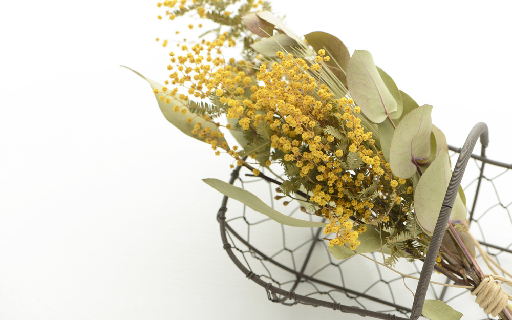 【ドライフラワーのステキな飾り方】気軽にインテリアとして楽しむコツ