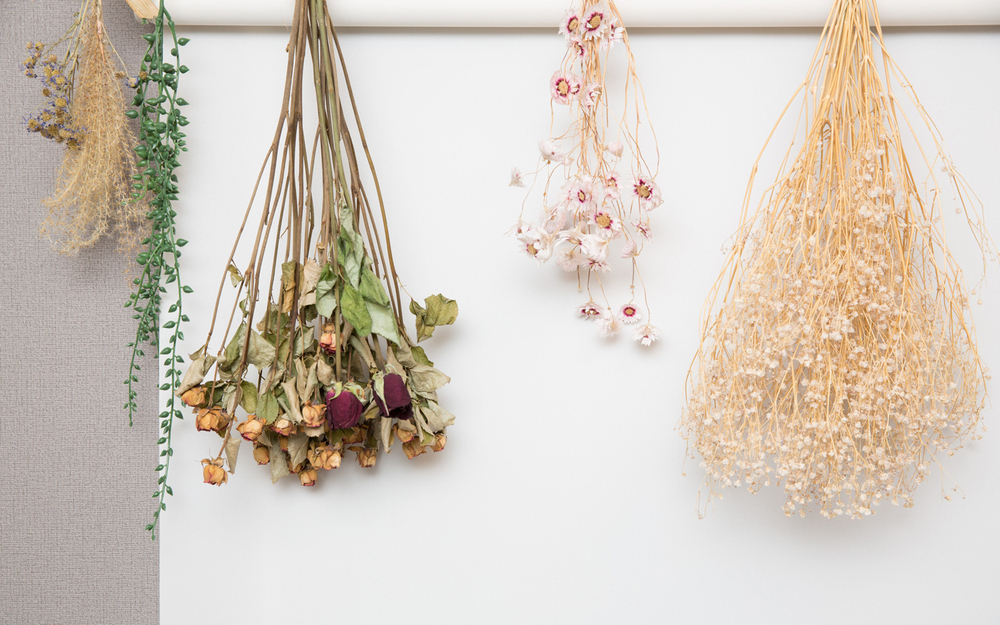 【ドライフラワーのステキな飾り方】気軽にインテリアとして楽しむコツ