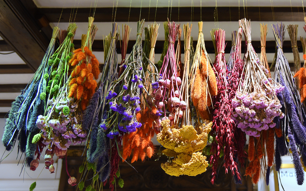 【ドライフラワーのステキな飾り方】気軽にインテリアとして楽しむコツ