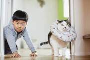 猫のマイロと一緒に、息子の成長を見守る