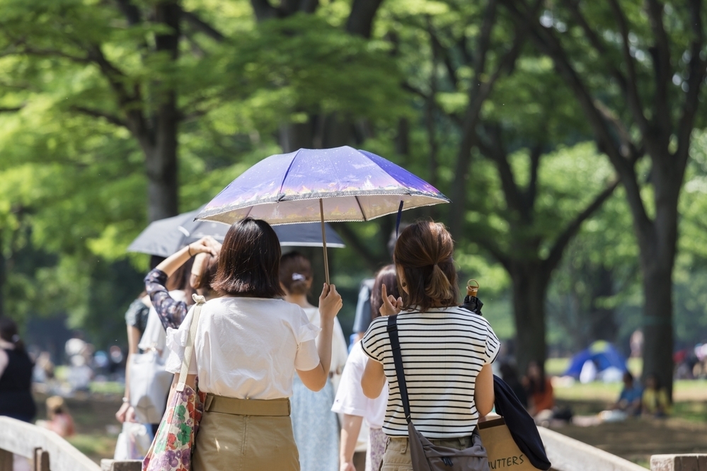 【医師監修】髪の毛のパサパサを治したい！　原因と改善方法とは