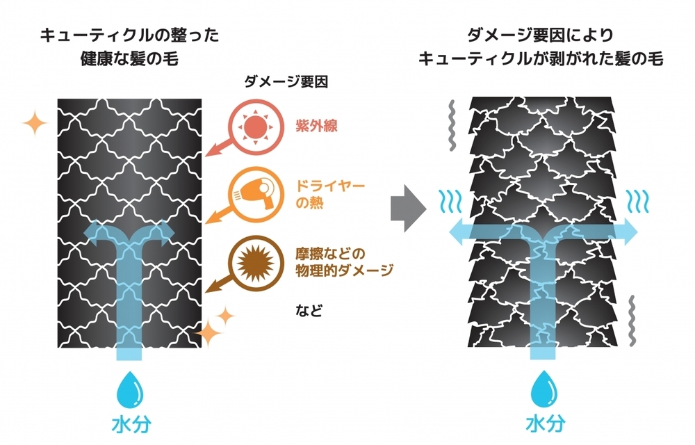【医師監修】髪の毛のパサパサを治したい！　原因と改善方法とは