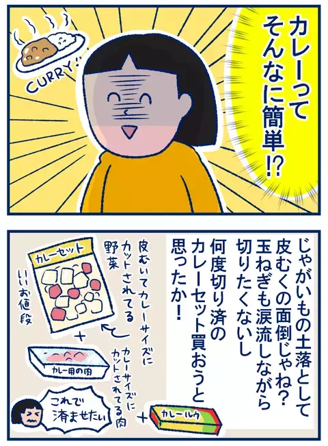ママ友と自分の「カレー作り」のハードルが違う話【双子を授かっちゃいましたヨ☆ 第206話】