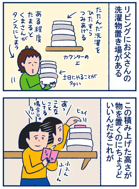 「夫が積みあげた洗濯物」を、つい〇〇代わりにしてしまう話【双子を授かっちゃいましたヨ☆ 第225話】