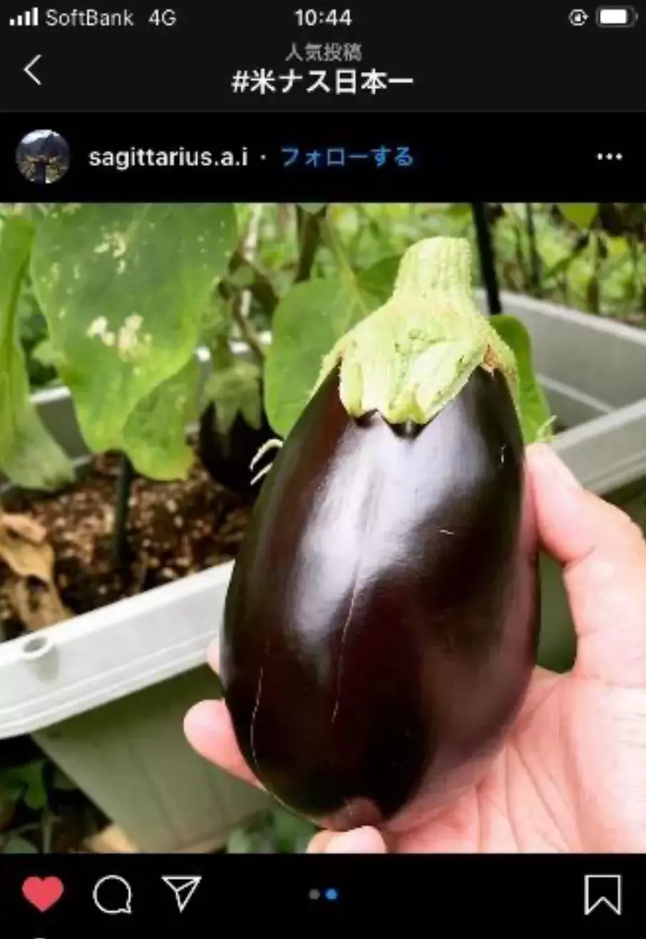 アツい夏は米ナス料理を楽しもう！簡単レシピ2選＆楽しい米ナスキャンペーン