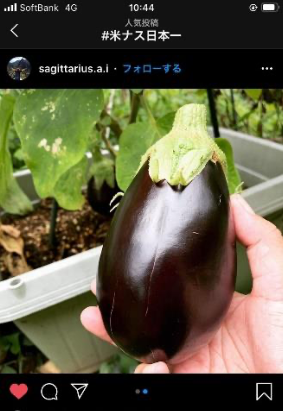 アツい夏は米ナス料理を楽しもう 簡単レシピ2選 楽しい米ナスキャンペーン ウーマンエキサイト