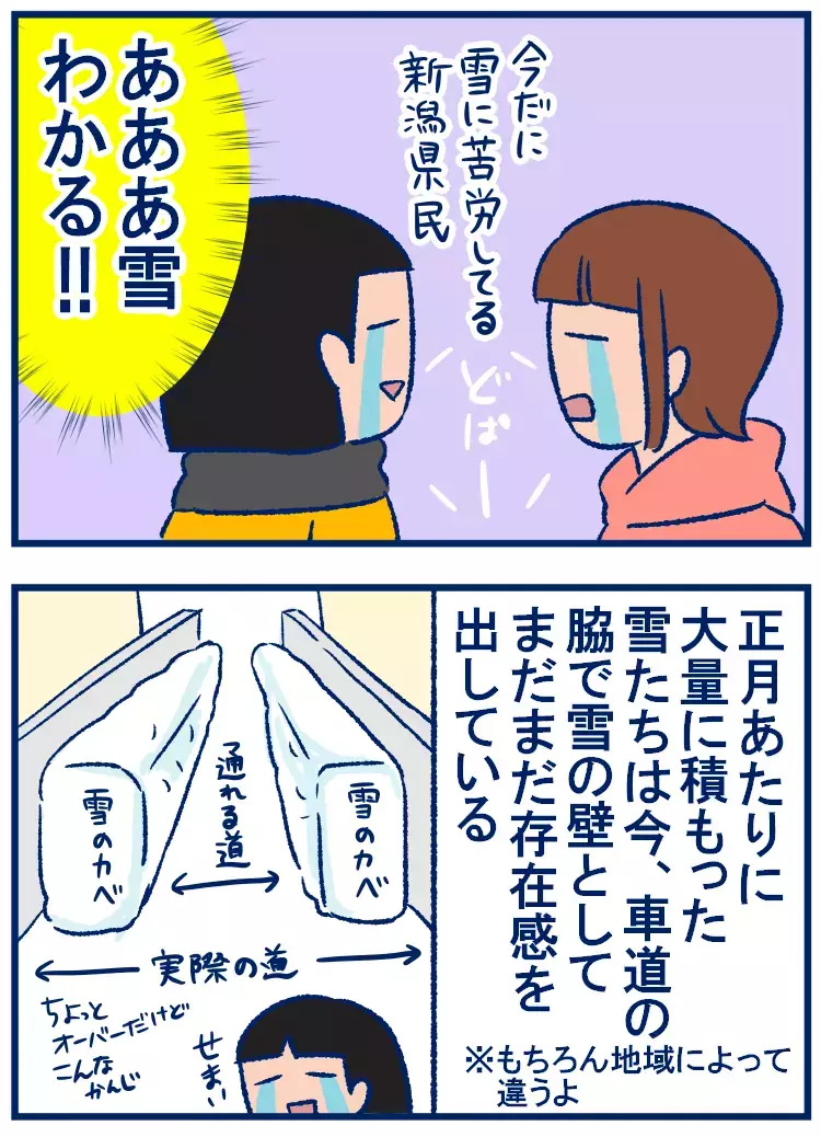 大雪の後にラスボスが登場する!? 雪国の大変さあるある【双子を授かっちゃいましたヨ☆ 第260話】