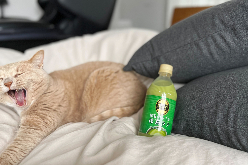 やること多くて、もう毎日ヘトヘト～！…なママの心をほぐしてくれる「癒しの抹茶ラテ」が新登場！