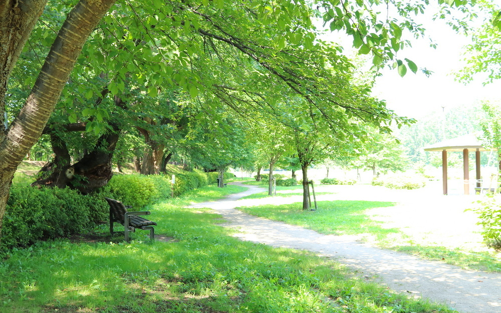 【1分で心理テスト】あなたの「JOY」の見つけ方は？