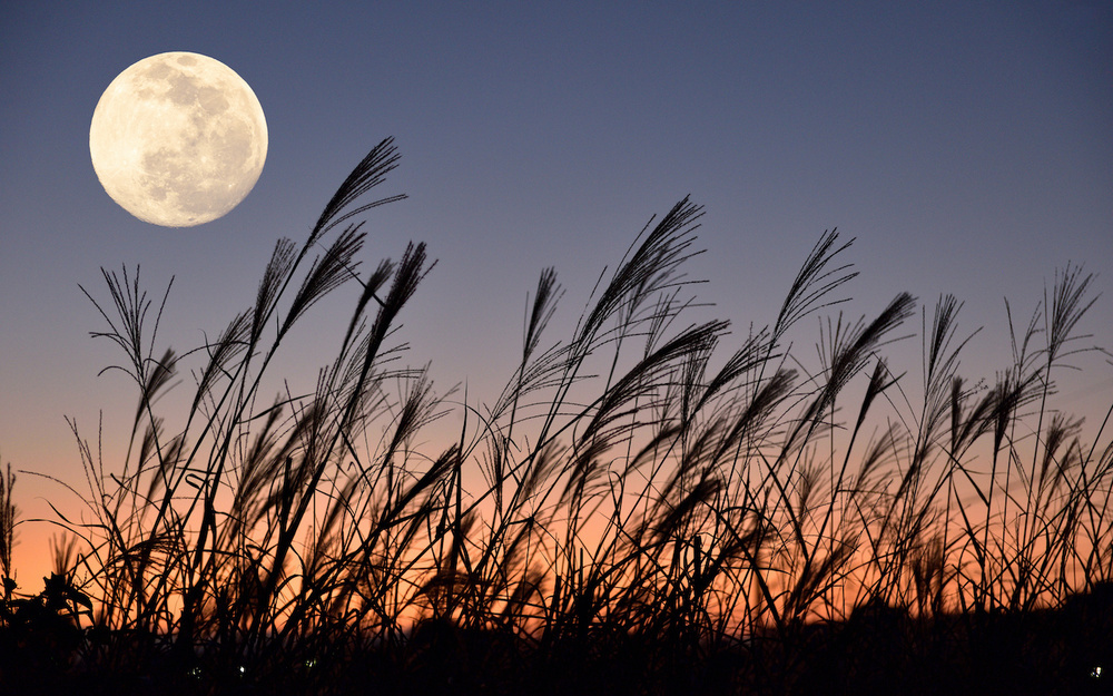 【1分で心理テスト】「いい人」って褒め言葉？ あなたの「お人よし度」チェック