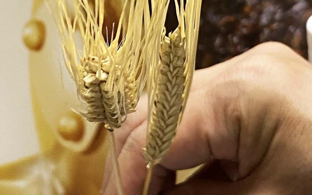 ブレンド前のむぎ茶を試飲してみた！　こだわりのやかん品質の美味しさの秘密を大解剖！