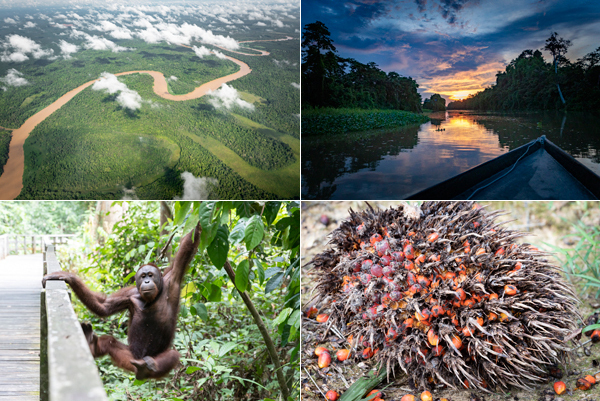 いまトレンドの昭和レトロをキッチン洗剤で取り入れる！ アデリアレトロとヤシノミ洗剤が数量限定ボトル発売