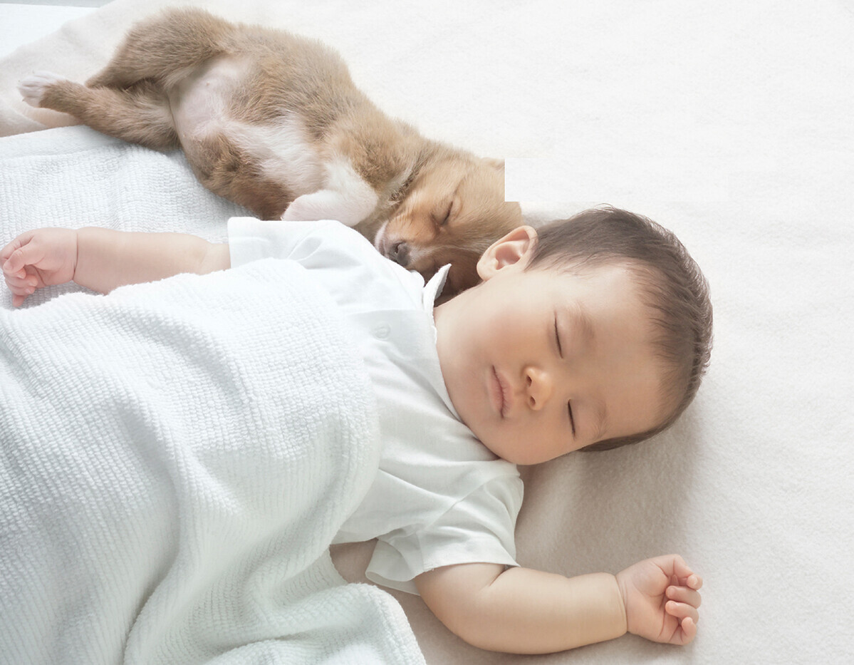 ふとんやソファの菌やダニ、花粉が気になるなら…徹底的に「清潔さ」にこだわったふとんクリーナー【編集部の「これ、気になる！」  Vol.132】