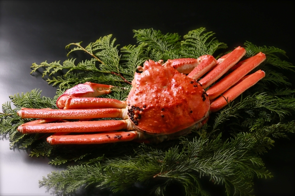 WEラブ赤ちゃん子育て探検隊【鳥取県】「泣いてもいいだで！」豊かな自然と手厚い支援に子育て世代の熱視線！