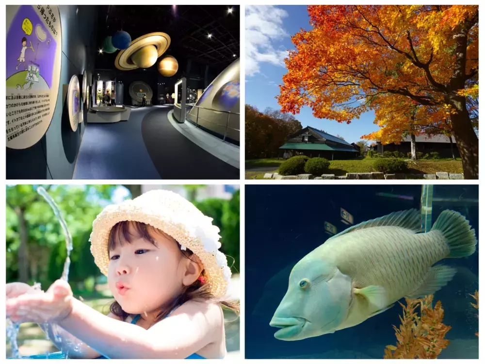 WEラブ赤ちゃん子育て探検隊【厚別区】「泣いてもいいっしょ！」大自然はもちろん市街地の進化にも大注目！