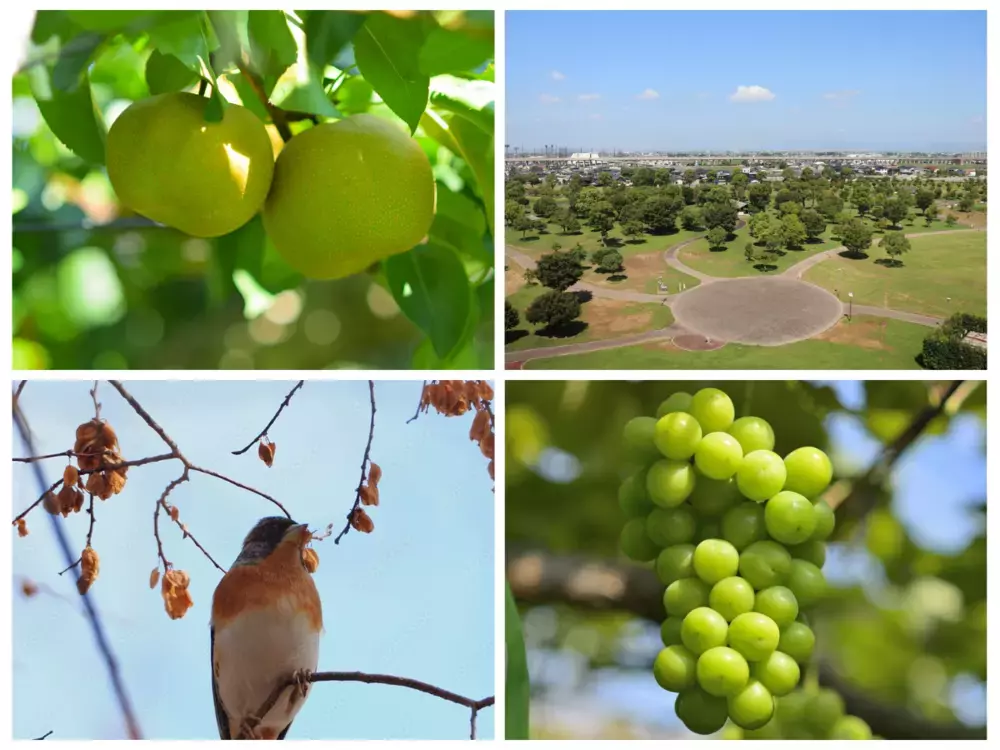 WEラブ赤ちゃん子育て探検隊【福岡県筑後市】「泣いてもよかよ！」ママ・パパに温かいまちの魅力を徹底研究！