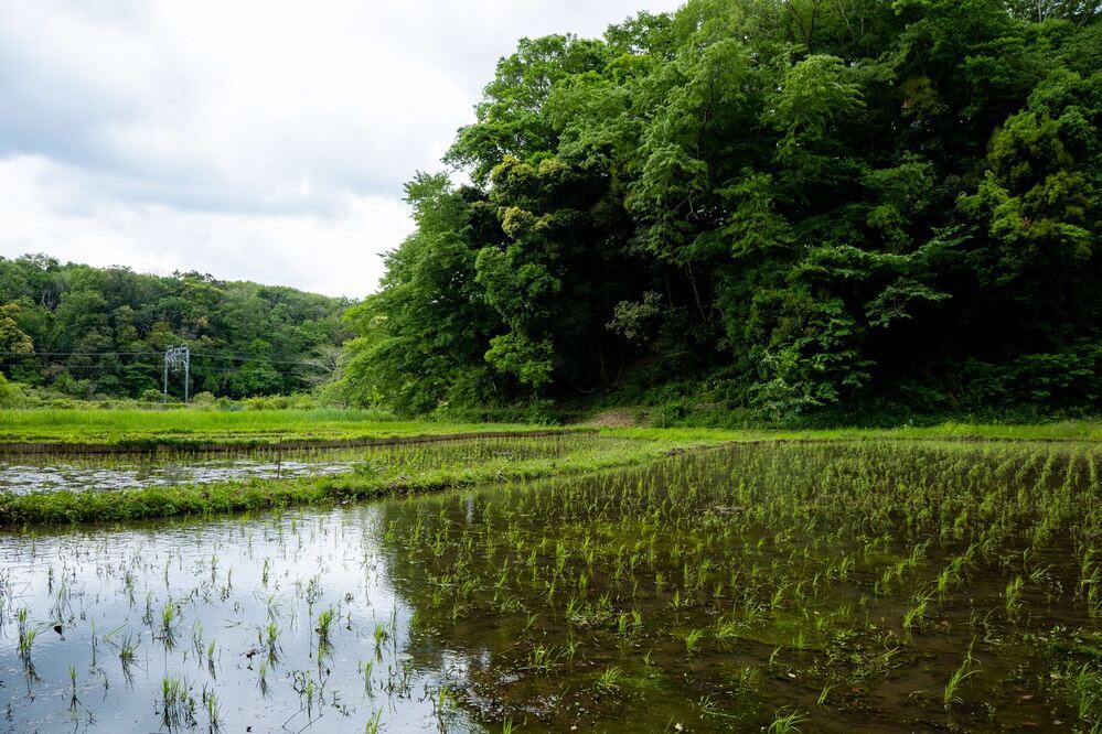 WEラブ赤ちゃん子育て探検隊【千葉県四街道市】人気のワケは「トカイナカ」都会と田舎のいいとこ取り！