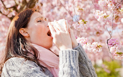 商談中の止まらない鼻水どう対処する？ 女性が知っておくべき花粉症のビジネスマナー