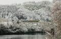 東京の「なまぬるい冬」と地方の「雪の洗礼」　本当の美しさは“厳しさ”にある