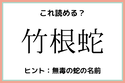 「竹根蛇」＝「たけねへび」…？読めたらスゴイ！《難読漢字》4選