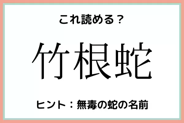 「竹根蛇」＝「たけねへび」…？読めたらスゴイ！《難読漢字》4選