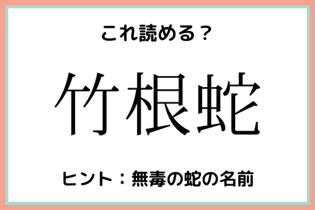 竹根蛇 たけねへび 読めたらスゴイ 難読漢字 4選