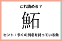 「鮖」って何て読む？大人なら知っておきたい魚の《難読漢字》
