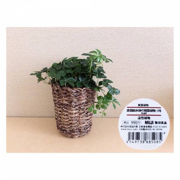 「お店に行けば何でも揃う！？」無印良品の生活雑貨はコスパ抜群で使いやすい！