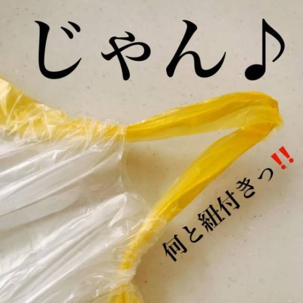 「こういうの求めてた…」ダイソーで人気の“技あり袋”が超優秀な件。