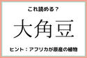 「大角豆」＝「おおかどまめ」…？読めたらスゴイ！《難読漢字》4選