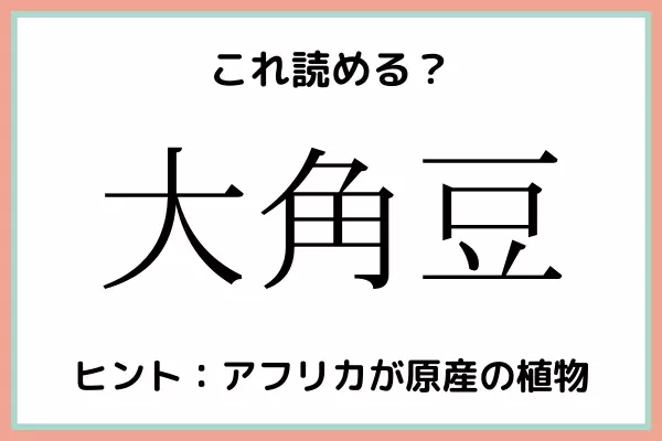 「大角豆」＝「おおかどまめ」…？読めたらスゴイ！《難読漢字》4選