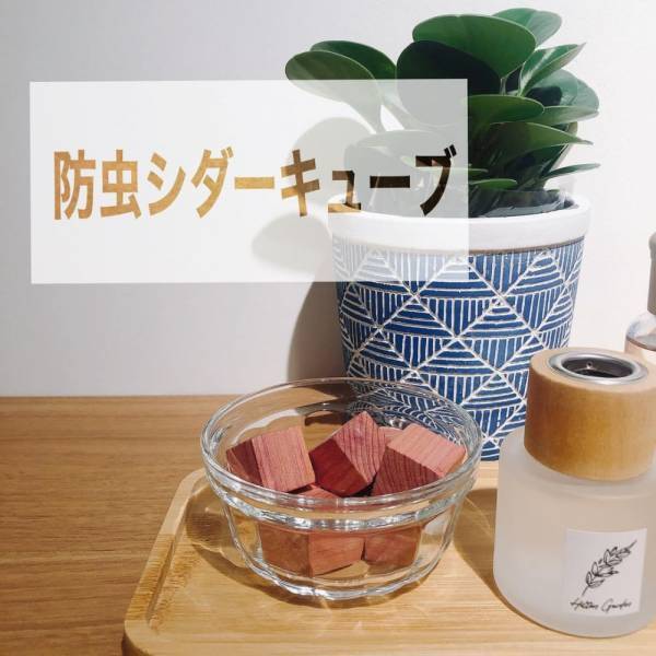 「これは買っておくべき！」スリコの“新作優秀アイテム”を見逃すな！