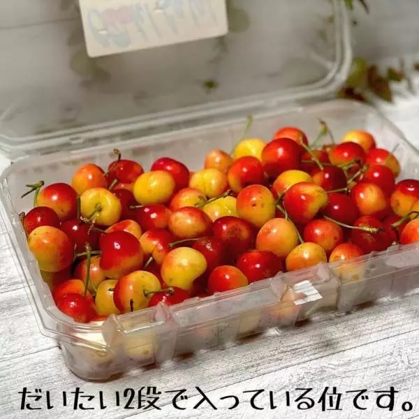 レイニアチェリー