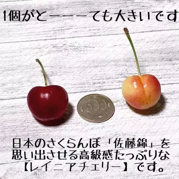 レイニアチェリー