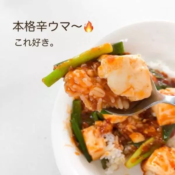 業務スーパーのおとなの麻婆豆腐の素